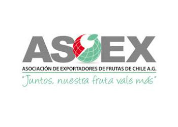 Asoex